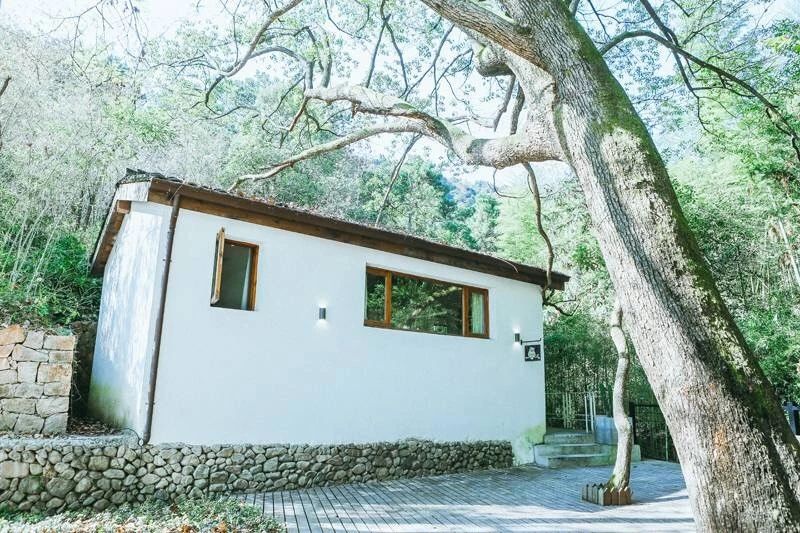 莫干山·柒竹悠南山，安靜的世外桃源