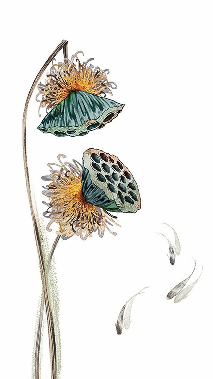 驚艷迷人的古風(fēng)圖片，超美古風(fēng)手機(jī)壁紙圖集