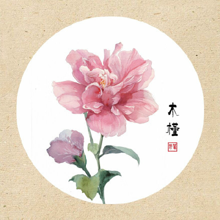 清新古風(fēng)花卉插畫，可作頭像的花卉插畫圖片