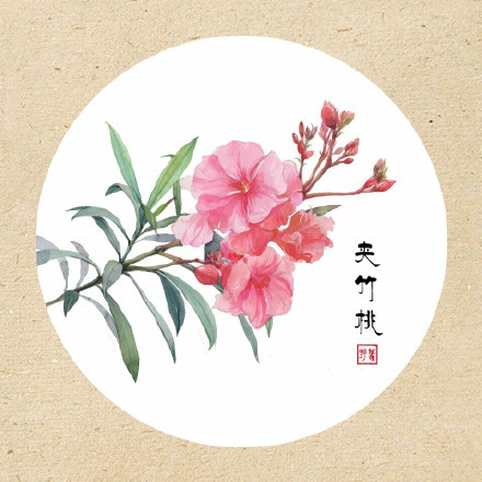清新古風(fēng)花卉插畫，可作頭像的花卉插畫圖片