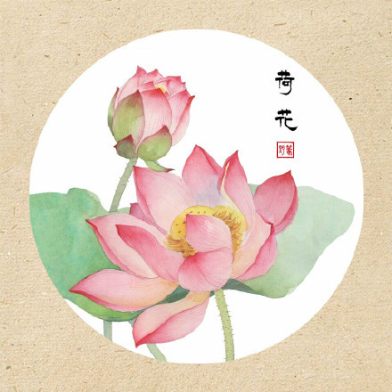 清新古風(fēng)花卉插畫，可作頭像的花卉插畫圖片