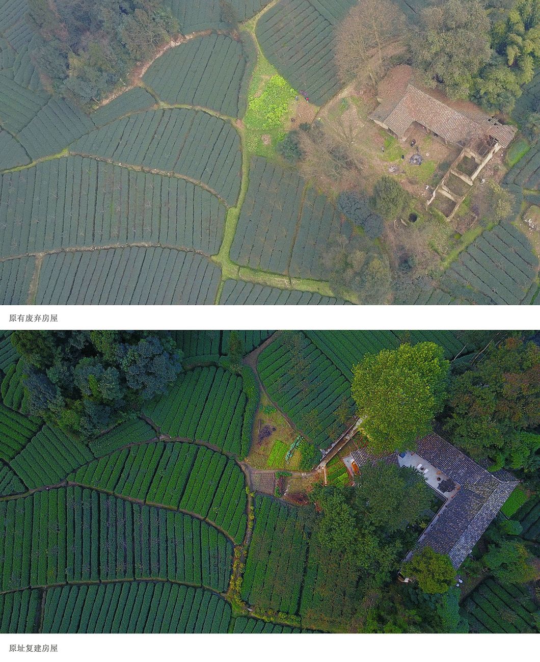 一所茶園里的民宿，過著鄉(xiāng)下悠閑愜意的日子