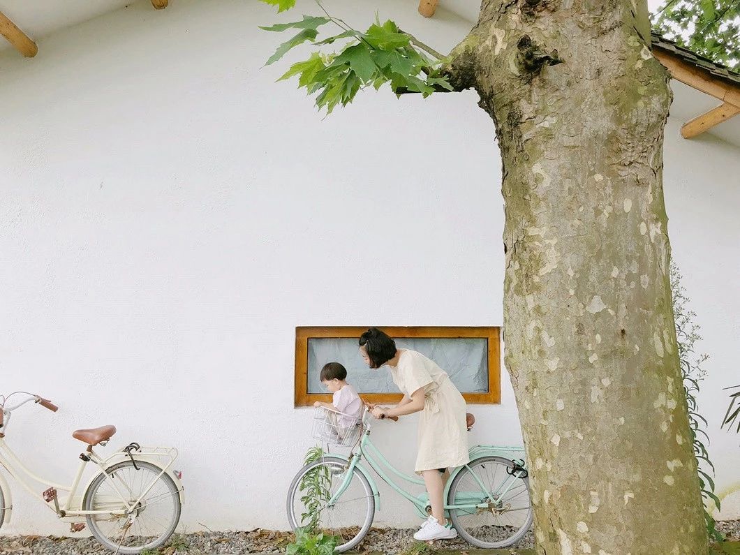 一所茶園里的民宿，過著鄉(xiāng)下悠閑愜意的日子