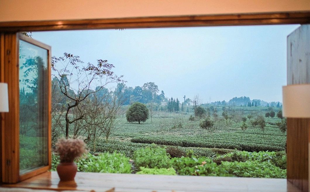 一所茶園里的民宿，過著鄉(xiāng)下悠閑愜意的日子