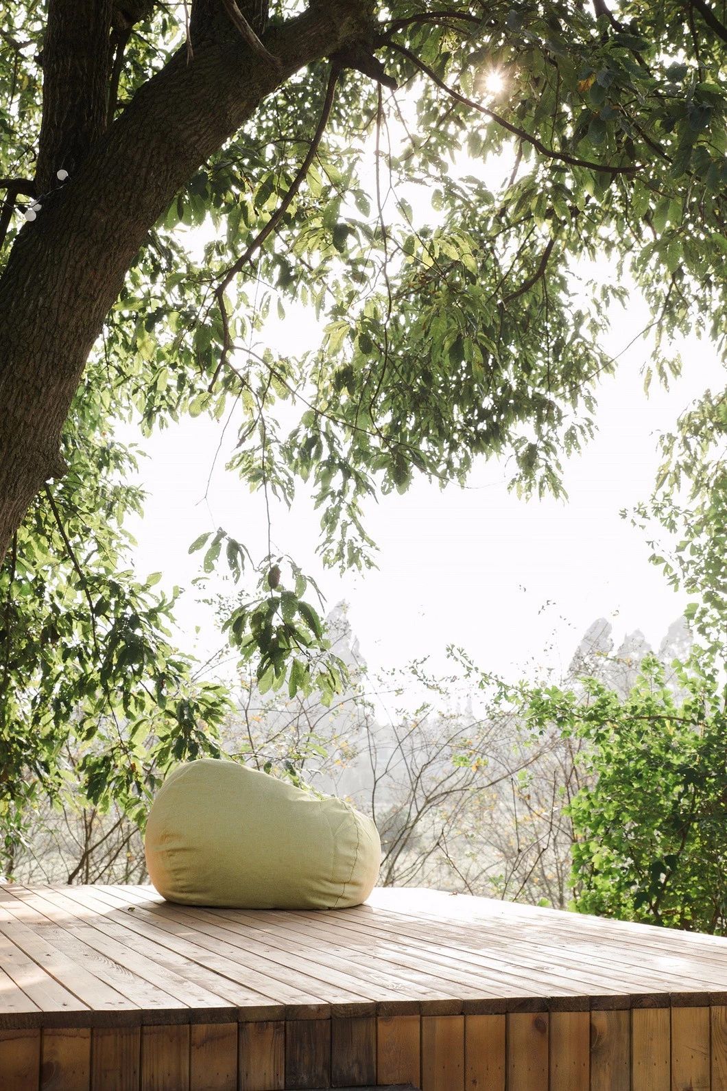 一所茶園里的民宿，過著鄉(xiāng)下悠閑愜意的日子