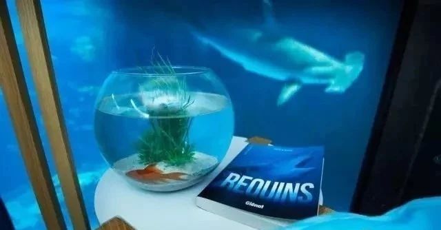 奇屋一夜民宿設(shè)計(jì)集合，把民宿開在了長城上