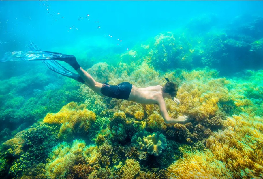 奇屋一夜民宿設(shè)計(jì)集合，把民宿開在了長城上