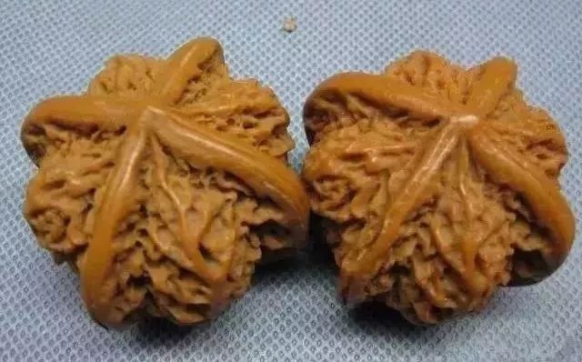 如何辨別真假核桃？五招辨別真假的方法