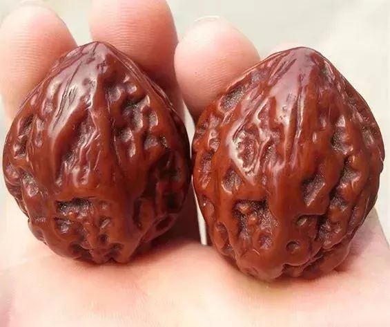 如何辨別真假核桃？五招辨別真假的方法