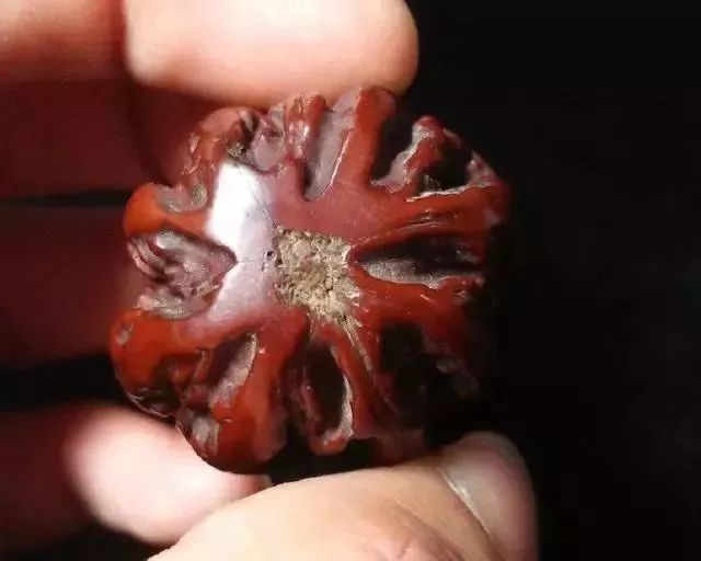 如何辨別真假核桃？五招辨別真假的方法