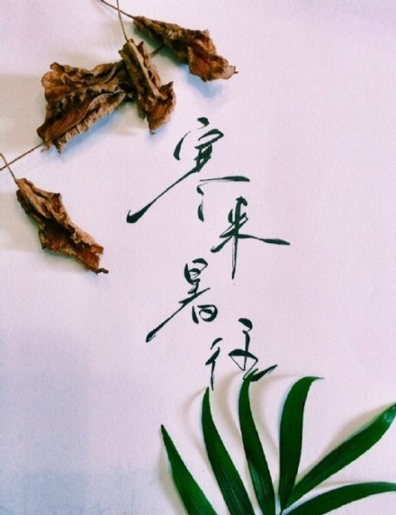 別致新穎的書法字體，美的很有意境！