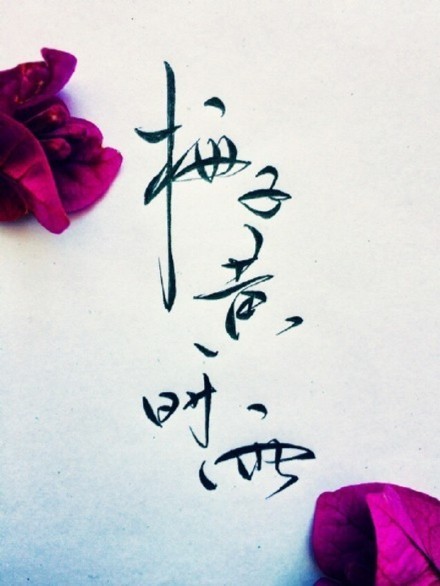 別致新穎的書法字體，美的很有意境！