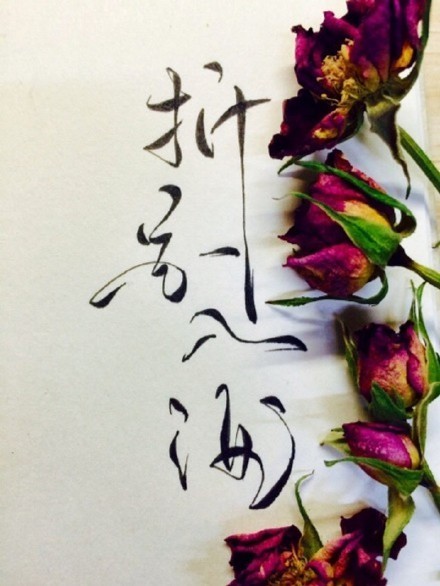 別致新穎的書法字體，美的很有意境！