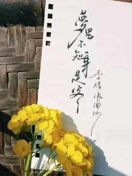 別致新穎的書法字體，美的很有意境！
