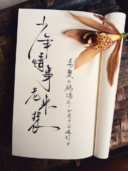 別致新穎的書法字體，美的很有意境！