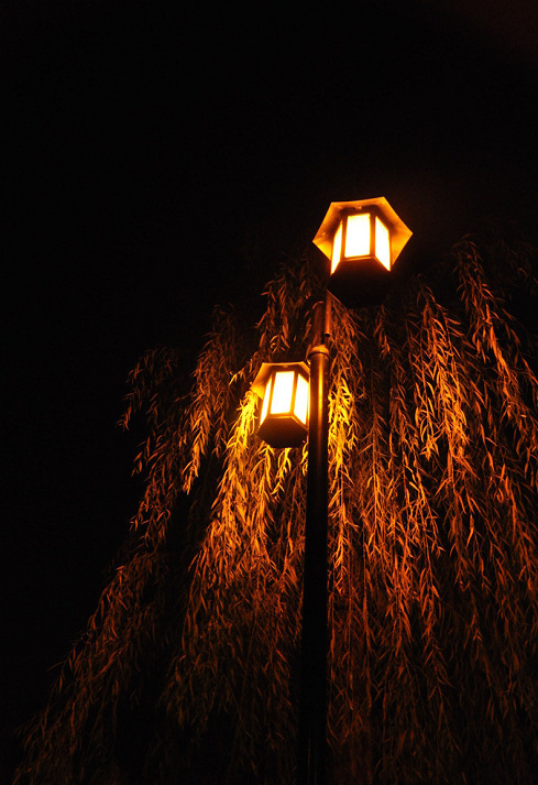 中式燈具之美，美燈配美景美哉