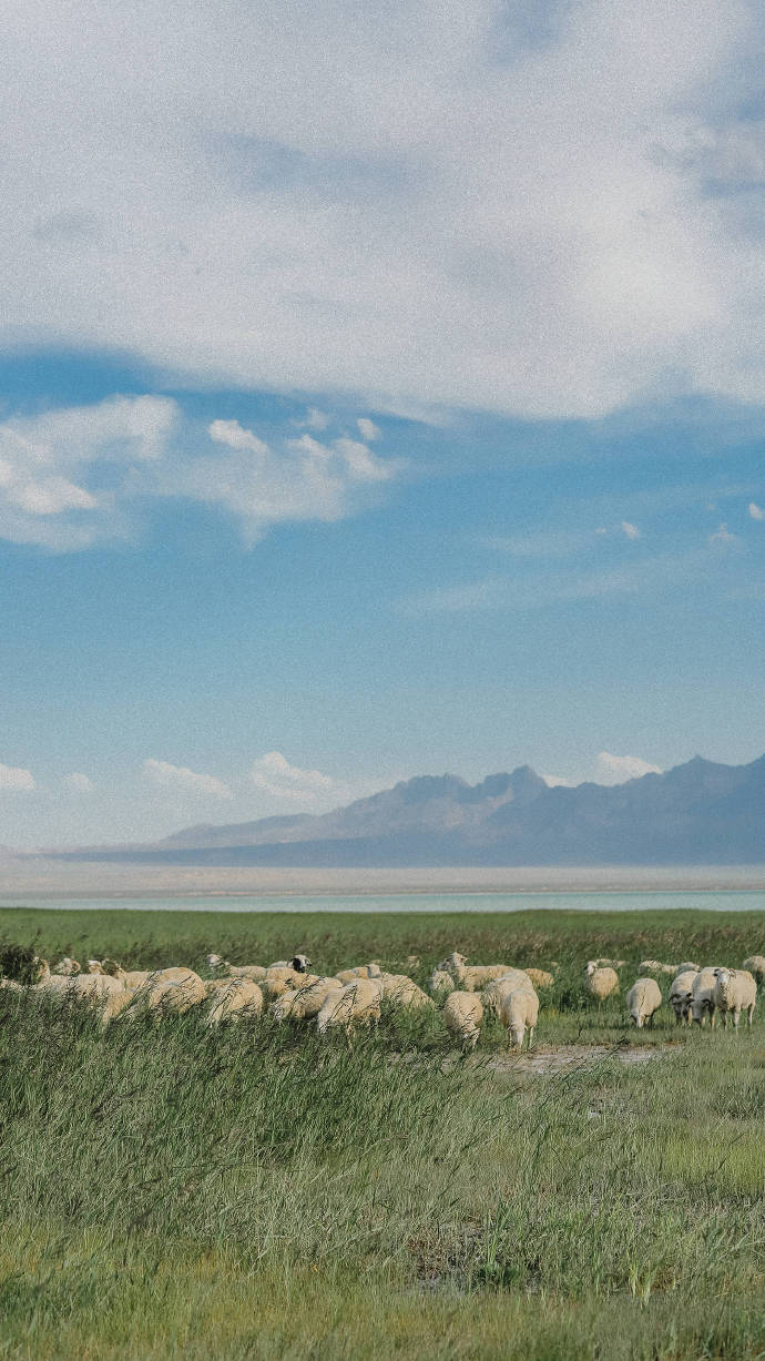超美路途風景攝影圖片，高清風景手機壁紙圖集