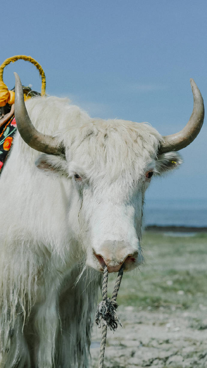 超美路途風景攝影圖片，高清風景手機壁紙圖集
