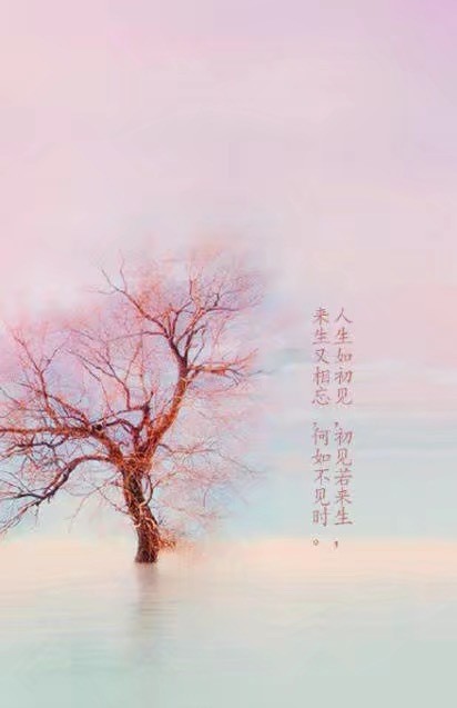 唯美帶文字古風(fēng)圖片，清新有意境古風(fēng)壁紙圖集