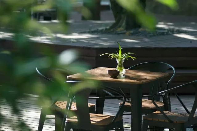 10家徽州最美民宿，領(lǐng)略徽州老宅的氣息