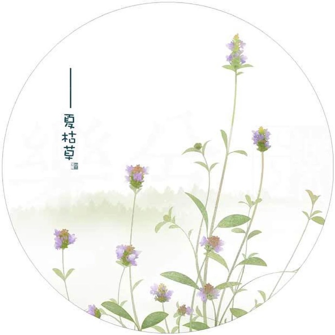 清新植物花卉插畫(huà)，可作頭像的插畫(huà)圖片