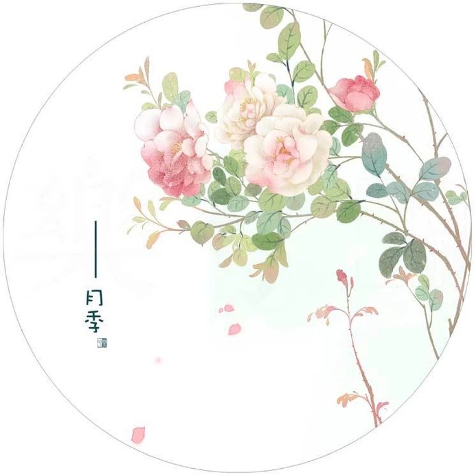 清新植物花卉插畫(huà)，可作頭像的插畫(huà)圖片