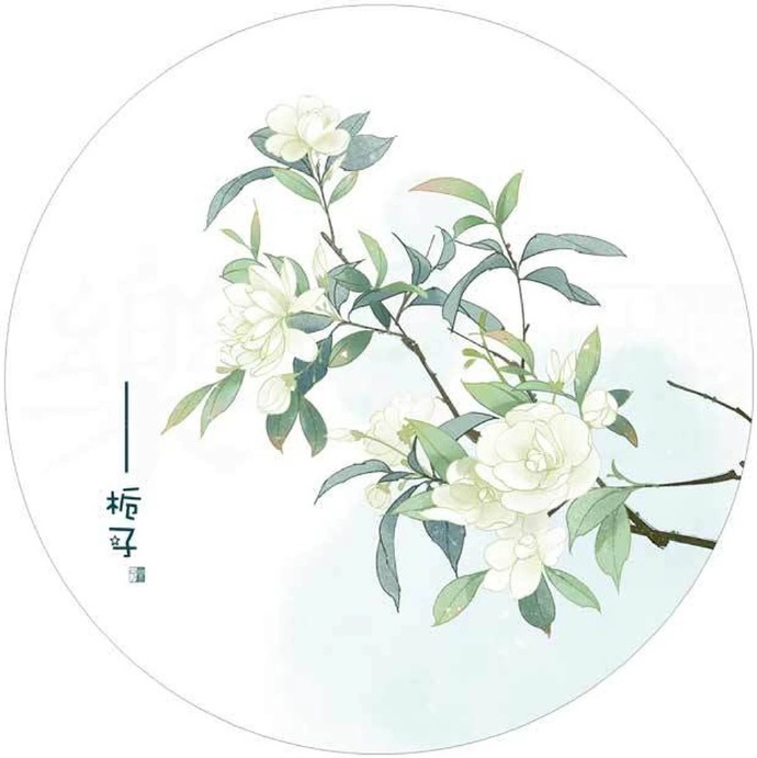 清新植物花卉插畫(huà)，可作頭像的插畫(huà)圖片