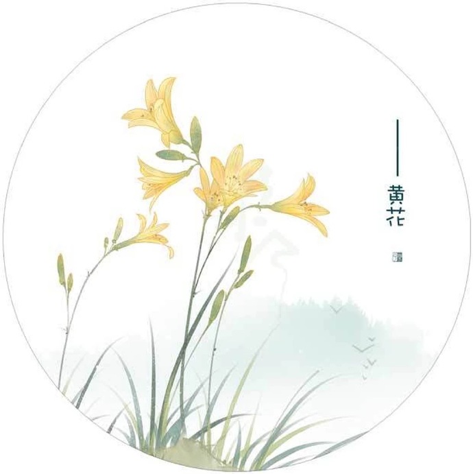 清新植物花卉插畫(huà)，可作頭像的插畫(huà)圖片