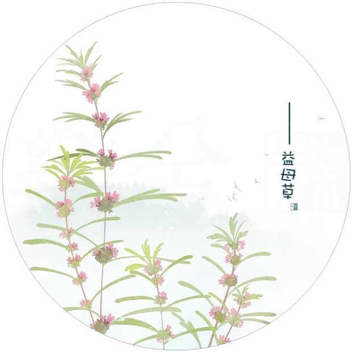 清新植物花卉插畫(huà)，可作頭像的插畫(huà)圖片