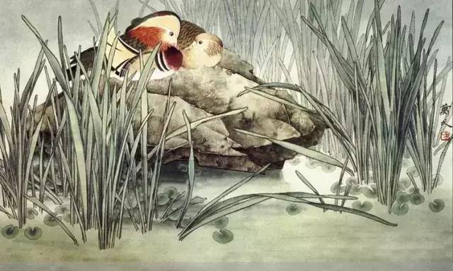 鴛鴦戲水圖集(18張)，好漂亮的國畫圖片