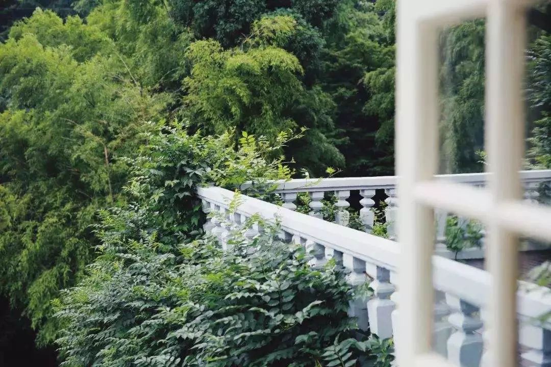 6家莫干山的新民宿，美出新境界