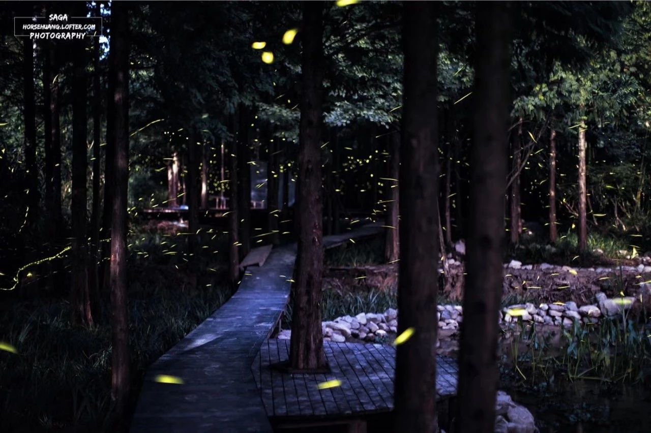 6家莫干山的新民宿，美出新境界