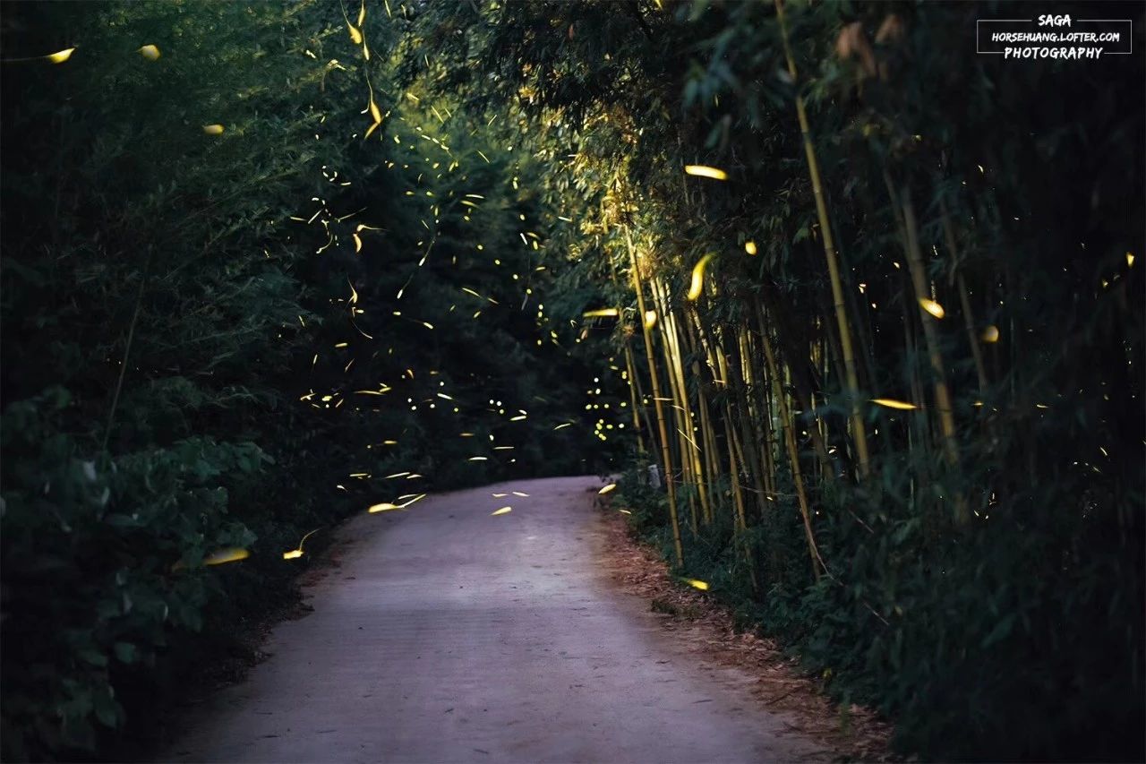 6家莫干山的新民宿，美出新境界