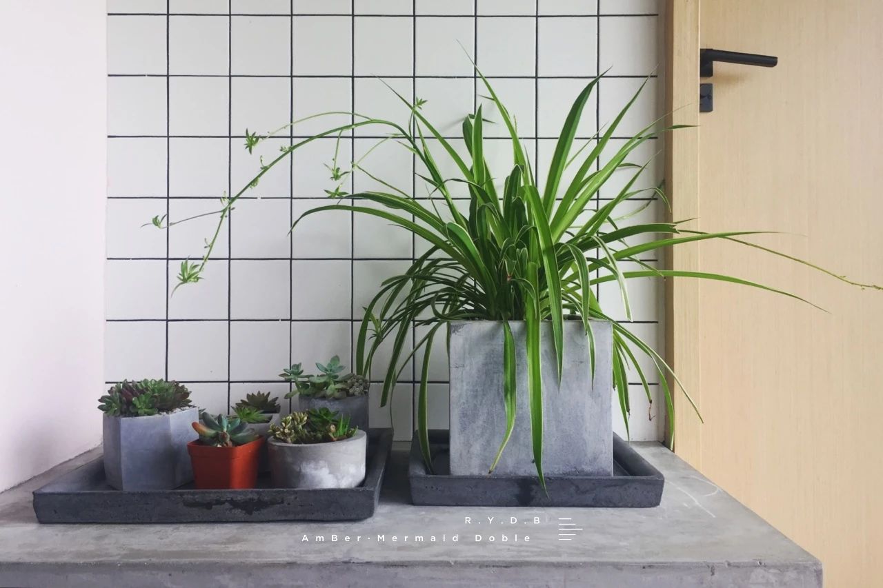 6家莫干山的新民宿，美出新境界