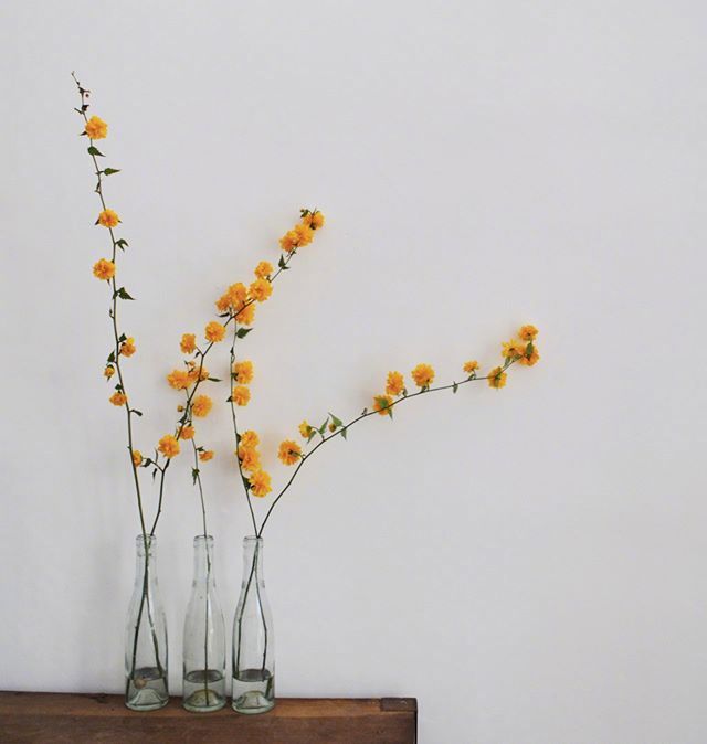 小清新插花藝術(shù)欣賞，生活如此美好