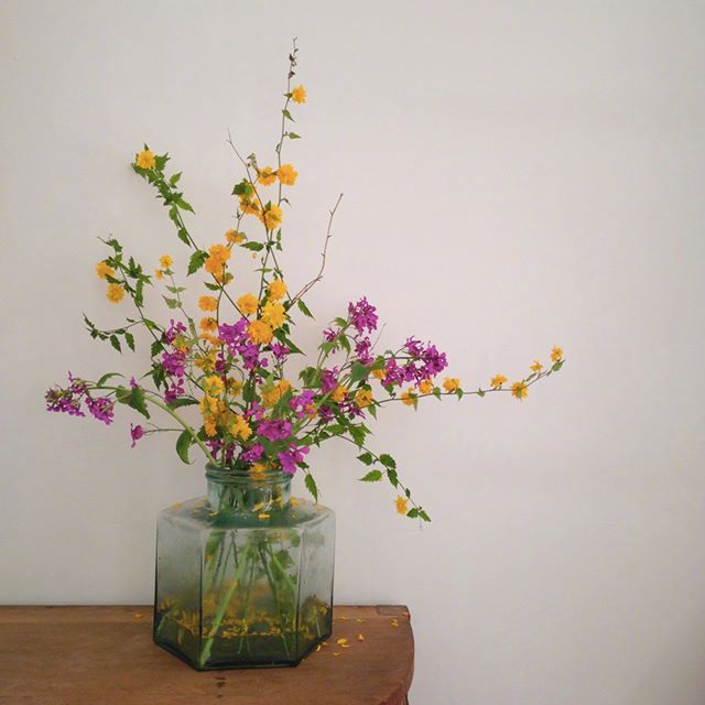 小清新插花藝術(shù)欣賞，生活如此美好
