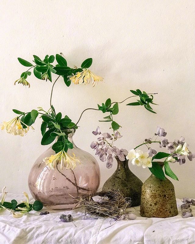 小清新插花藝術(shù)欣賞，生活如此美好