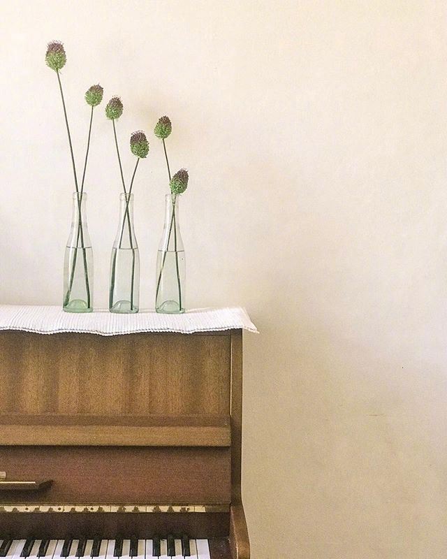 小清新插花藝術(shù)欣賞，生活如此美好