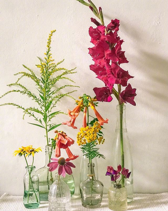 小清新插花藝術(shù)欣賞，生活如此美好