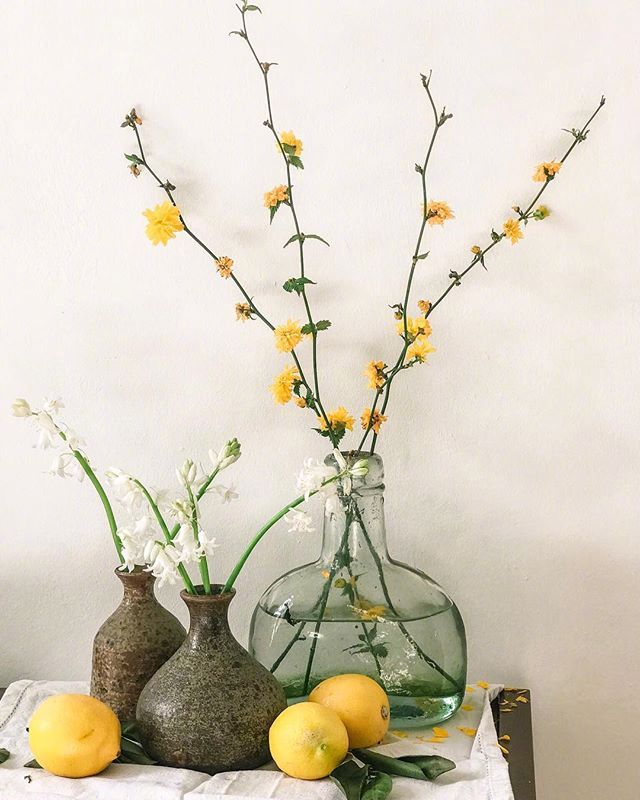 小清新插花藝術(shù)欣賞，生活如此美好