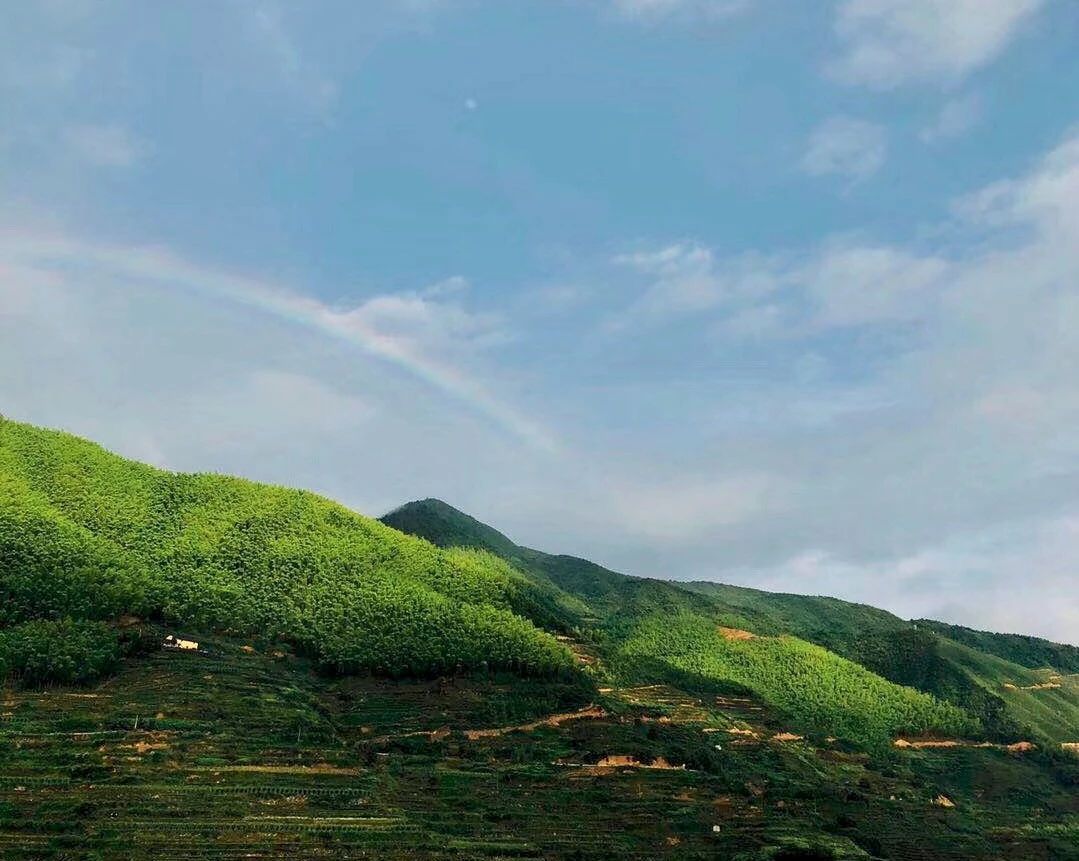 麗水遂昌|云逸遠(yuǎn)山，擁有超美的云海和銀河