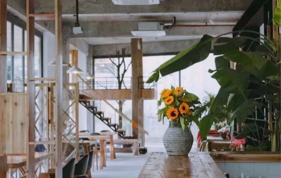 麗水遂昌|云逸遠(yuǎn)山，擁有超美的云海和銀河