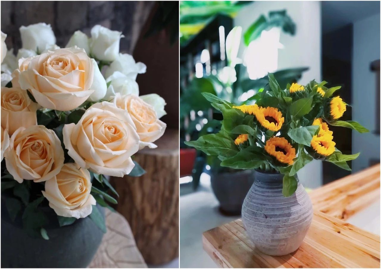 麗水遂昌|云逸遠(yuǎn)山，擁有超美的云海和銀河