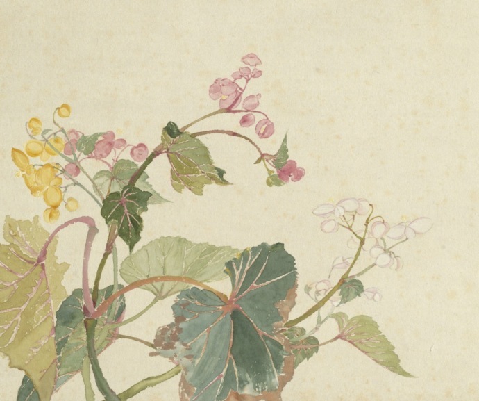 超美國畫圖集欣賞(52張)，高清國畫圖片賞析