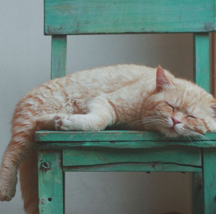 3家不錯的杭州民宿，度過最驚艷的時光