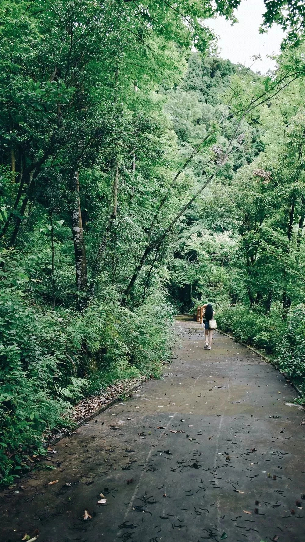 千島湖|傾境，慢生活消磨著自己的時光