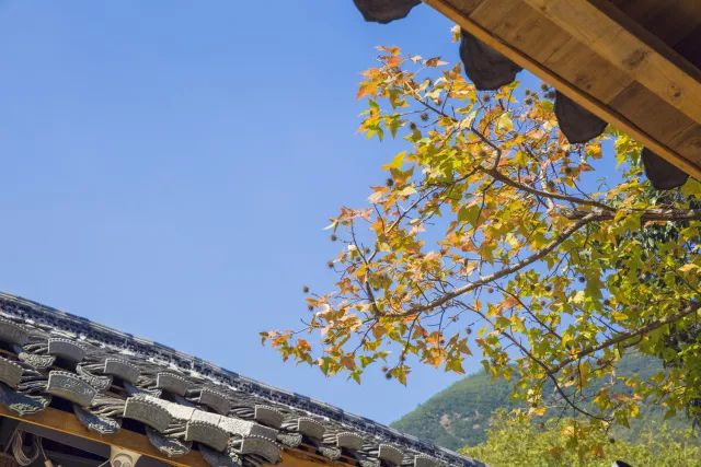 最美大山里的圖書館，感受美妙的讀書世界