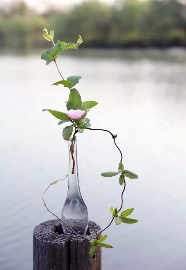 超有意境的瓶花藝術(shù)，一組簡約中國瓶花藝術(shù)