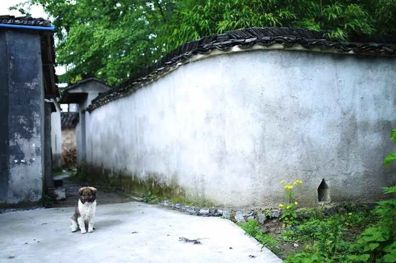 黃山·舊街墨野，浸染徽文化的地方