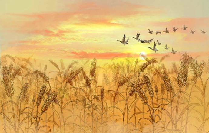 花香滿溢的古風(fēng)圖片，春天意境的唯美古風(fēng)圖片